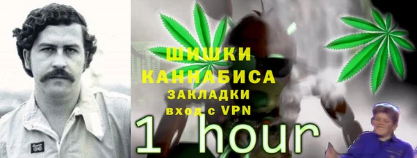 мяу мяу мука Кукмор