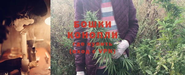мяу мяу мука Кукмор